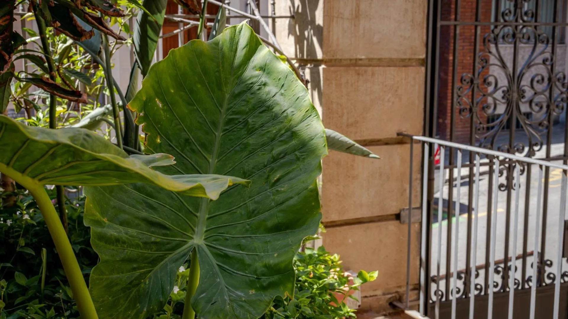 Bed & Breakfast Verdi 254 Barcelona